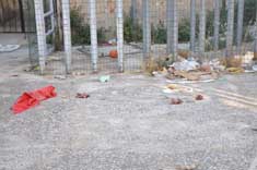 2011 ex macello (27)