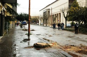 130315 viale diaz caduta albero (2)