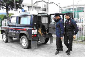 Nicosia Carabinieri e unità cinofila