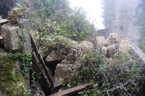 Enna Kamut distuzione (16)