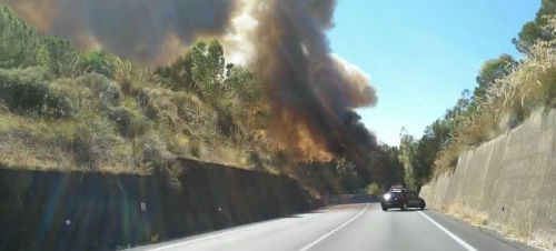 piazza armerina incendio SS 117