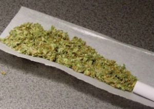 droga-marijuana-in-grammi