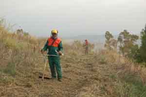 Lavoratori consorzio bonifica e forestali in attesa di risposte dalla Regione
