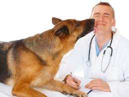 ASP Enna: acquisite nuove attrezzature veterinarie