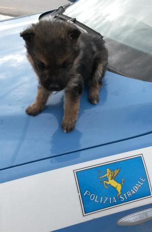 Ad Agira e Regalbuto da Polstrada controlli a tappeto su strada con tester per la rilevazione di alcool e stupefacenti