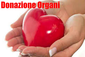 Donazione organi, in Sicilia la più “virtuosa” è Enna, con il 65 per cento