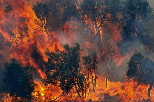 Da Sigonella elicottero per spegnere incendio a Piazza Armernia