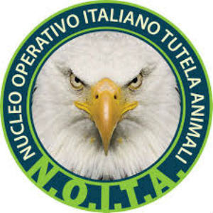 Nucleo Operativo Italiano Tutela Animali chiede rimozione immediata Comandante e Vice della Polizia Municipale di Piazza Armerina