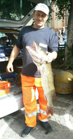 Pescatore catenanuovese pesca un luccio di 5,5 kg presso la diga Sciaguana al centro fra Regalbuto, Agira e Catenanuova