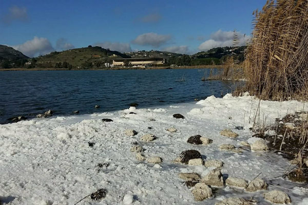 Strana sostanza bianca e schiumosa nelle acque del lago di Pergusa