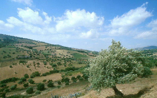 Cutgana, Settimana della cultura scientifica e tecnologica alla riserva naturale orientata “Vallone di Piano della Corte” di Agira