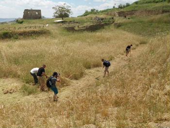 Giornata del volontariato: marines di Sigonella e ragazzi dell’ass. Don Bosco di Aidone ripuliscono Morgantina dalle erbacce