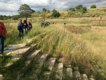 Aidone: invasioni digitali al museo e Morgantina (festa delle erbacce)