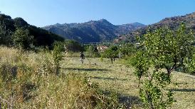 IN SICILIA CRESCE LA FORESTA CREDEM