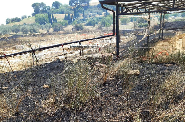 Aidone. Morgantina: storia di incendi annunciati