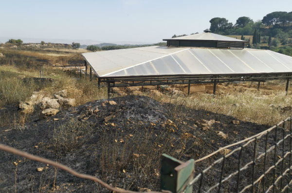 Aidone. Circa 30 ettari di sterpaglie e macchia mediterranea bruciate a Morgantina