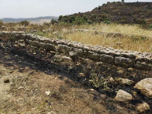 Incendio area di Morgantina. Trentacoste: situazione di incuria e ritardo nelle manutenzioni stagionali si protrae da anni