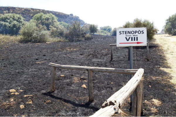 In cenere buona parte dell’area archeologica di Morgantina, Faraone: “Chi ha permesso ciò deve pagare”