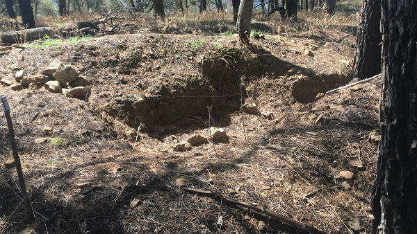 Federazione dei Verdi denuncia ai Carabinieri scavi illegali nella riserva di Rossomanno e Bellia