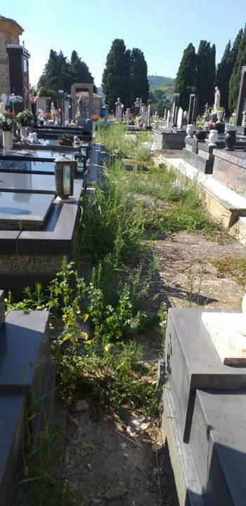 Aidone. Ci risiamo: il cimitero nuovamente in preda alle erbacce, ai rovi e al degrado