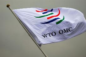 DAL WTO VIA LIBERA AI DAZI USA