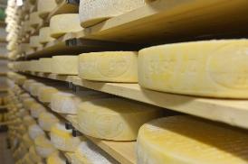 AD AGOSTO IN DECISA CRESCITA L’EXPORT DEI FORMAGGI ITALIANI IN USA