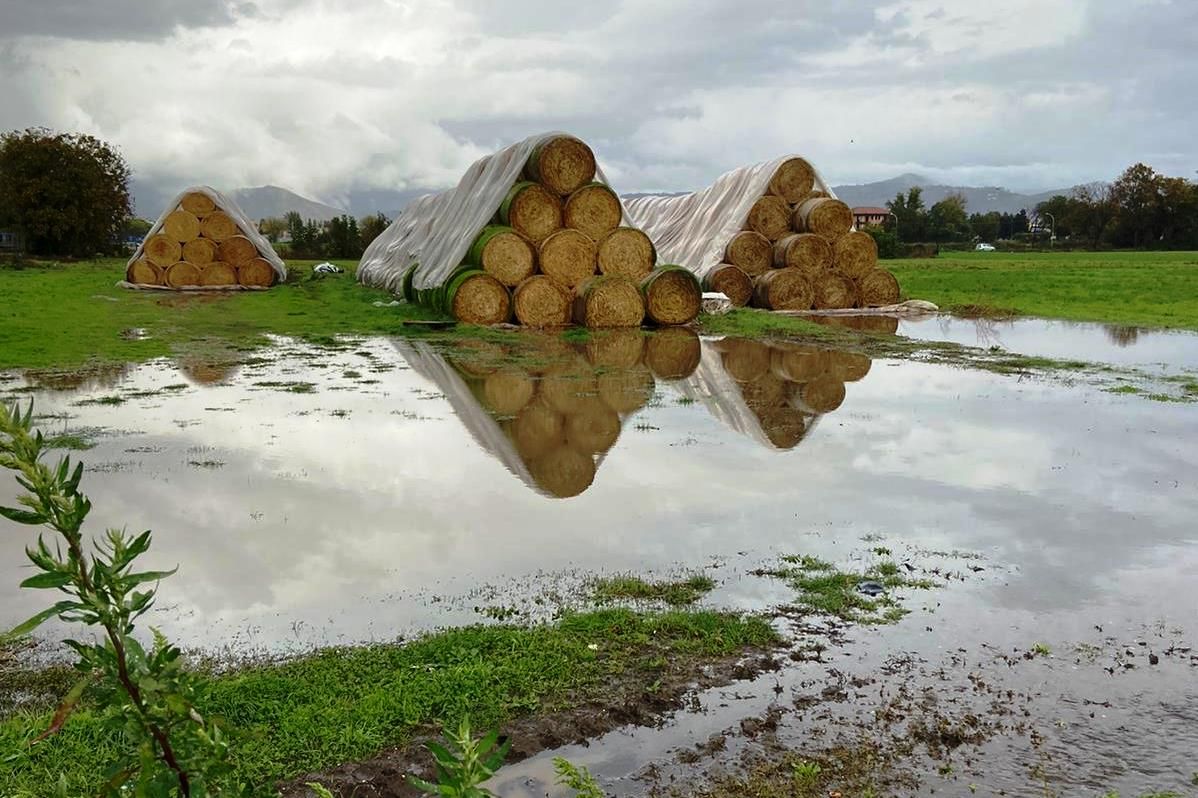 BOMBA D’ACQUA SU CASERTA, CAMPI ALLAGATI E STALLE DISTRUTTE