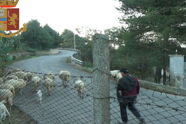 Valguarnera. Deferiti per falsa attestazione presenza in servizio e truffa aggravata, due dipendenti infedeli del Comune, operazione «Pecora nera» – video