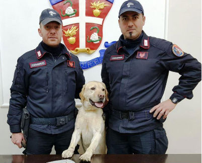 Durante perquisizione il cane “Ivan” trova droga a casa di un ventisettenne, originario di Leonforte ma residente a Villarosa