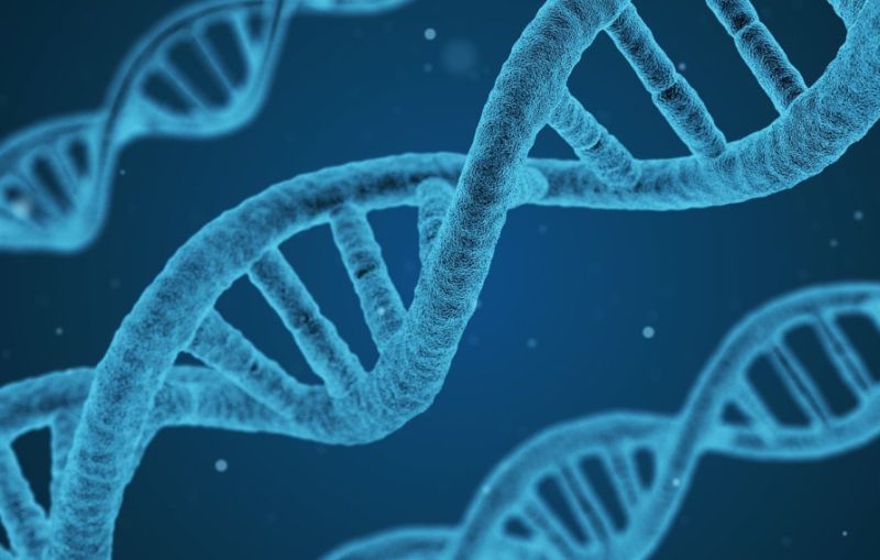 Salute, Ordine biologi e Sigu dicono no a test genetici nelle farmacie