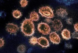 Coronavirus, in ginocchio il comparto allestimento fiere ed eventi
