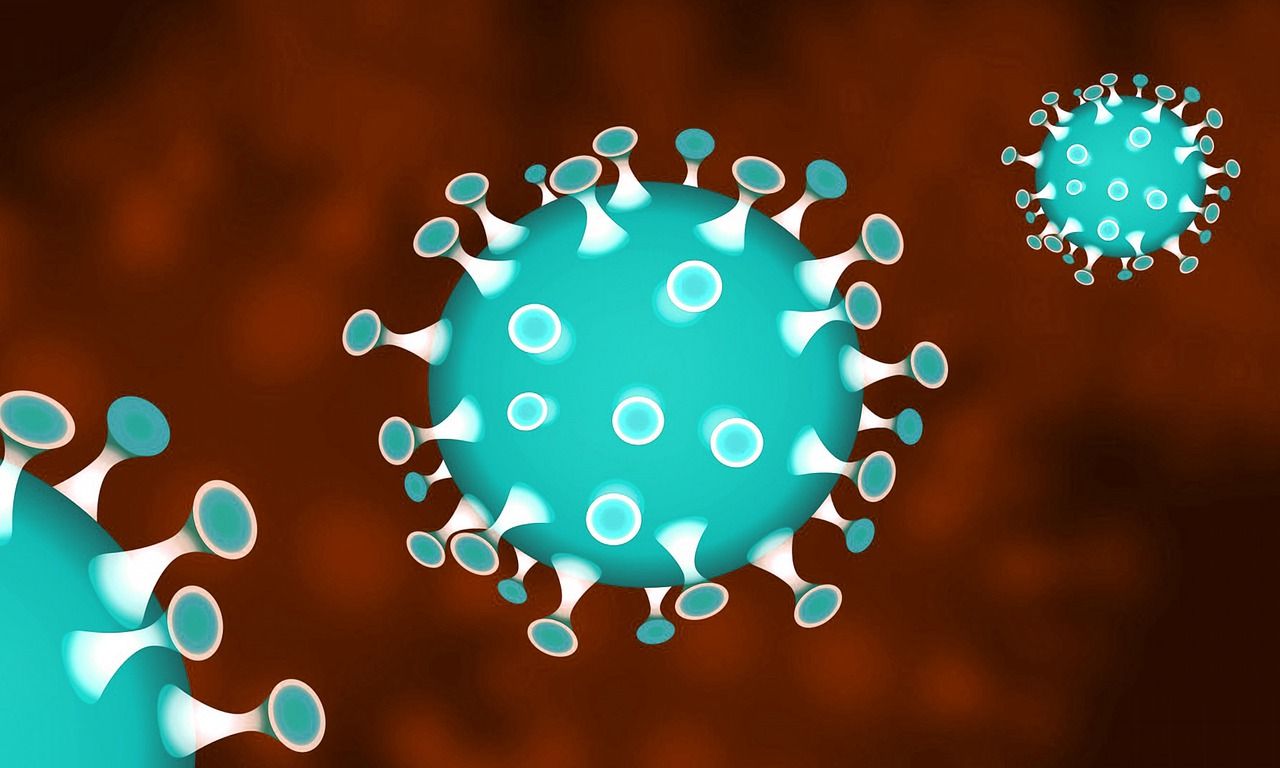 Coronavirus, nasce il super archivio dei pazienti