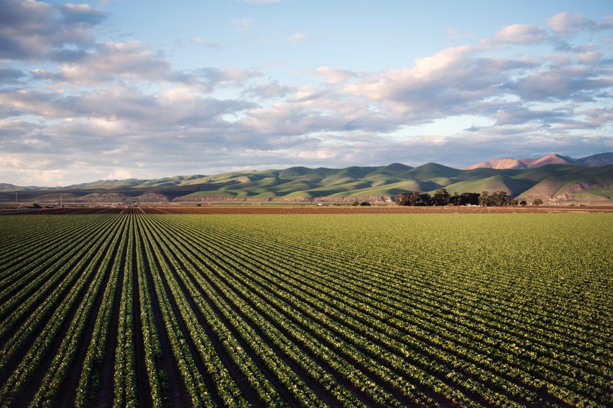 Sud, dall’agricoltura sociale un’opportunità di crescita