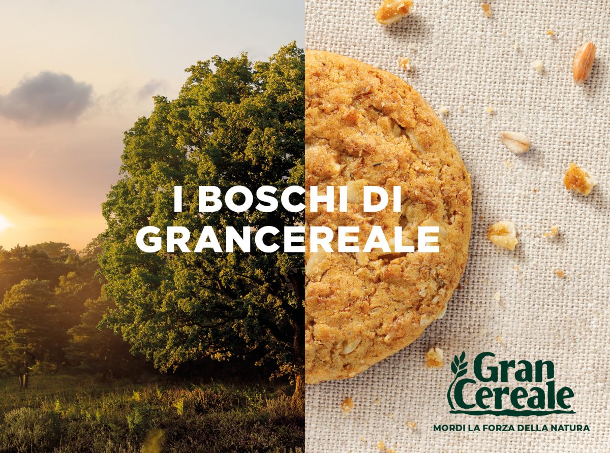 World Rainforest Day, Gran Cereale ripristina 6 boschi italiani