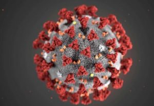 Coronavirus, una cinquantina di positivi alla Bartolini di Bologna