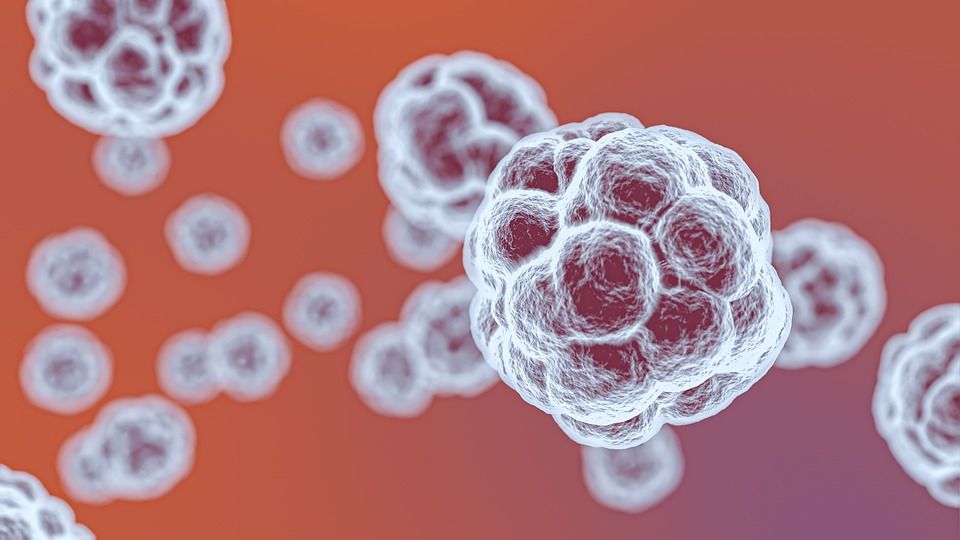 Covid-19, una nuova tecnologia elimina il virus dai tessuti