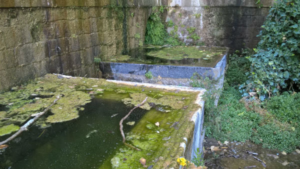 Enna: pericolo crollo muro del cimitero, vasche di Papardura coperte di “lippu”