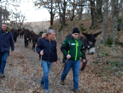 Cooperativa “Nostra Signora di Gulfi” di Chiaramonte: operazione New Park, solidarietà a comune Troina