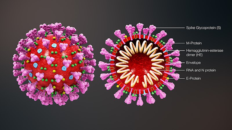 Coronavirus, in Toscana 6 nuovi casi e un decesso