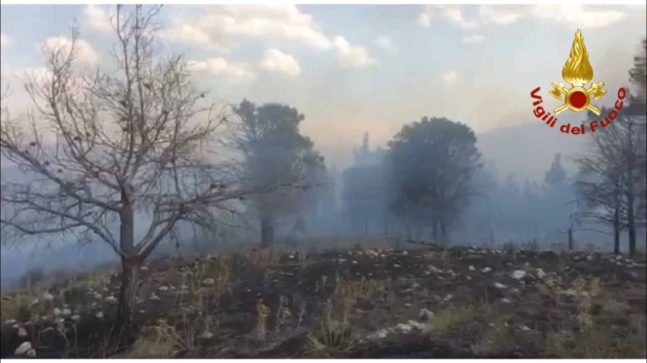 Incendi, 34589 interventi dei vigili del fuoco dal 15 giugno