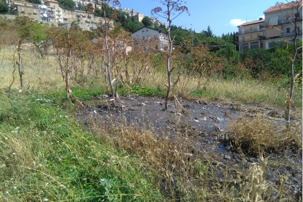 Troina, abitanti quartiere San Michele chiedono a Comune, AcquaEnna ed Asp di riparare guasto fognario, ma nessuno risponde