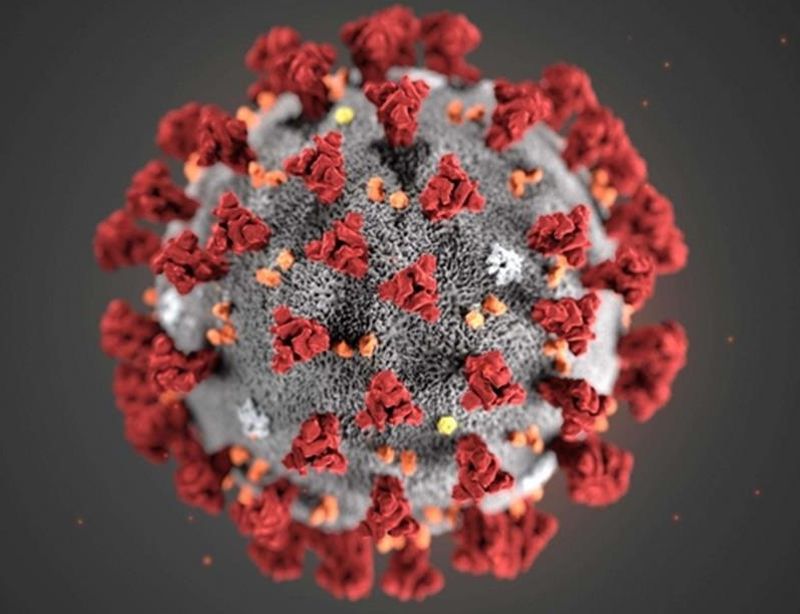 Coronavirus, Crisanti “Non credo nel vaccino entro fine anno”