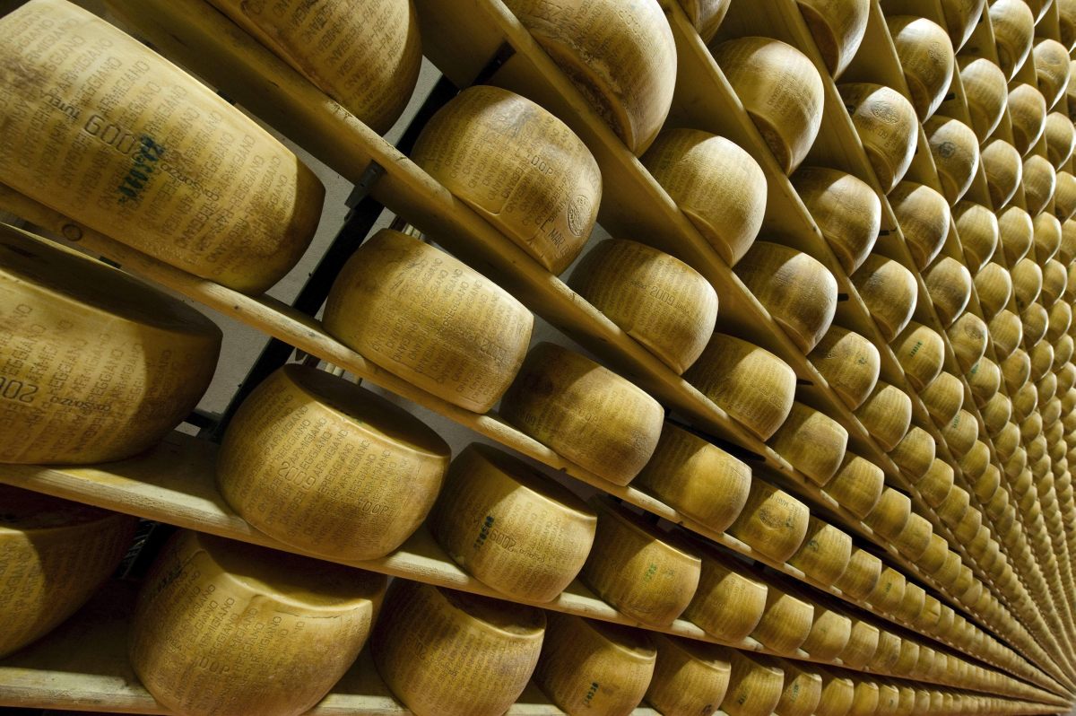 Parmigiano Reggiano, oltre 5 mila visitatori per “Caseifici Aperti”