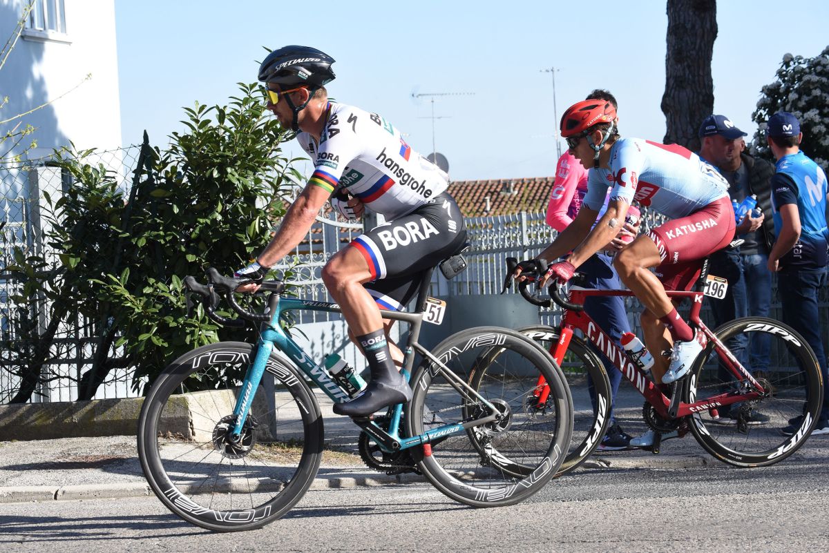 Sagan vince in solitaria la 10a tappa del Giro, Almeida sempre rosa