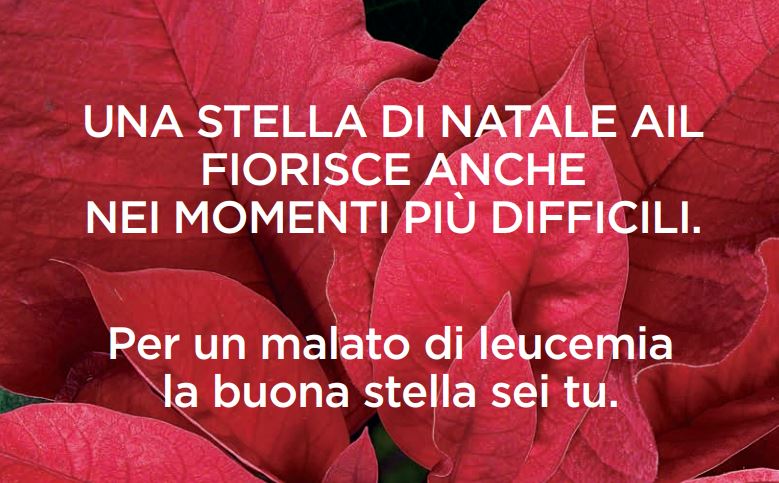 Lotta alle leucemie, tornano le Stelle di Natale dell’AIL