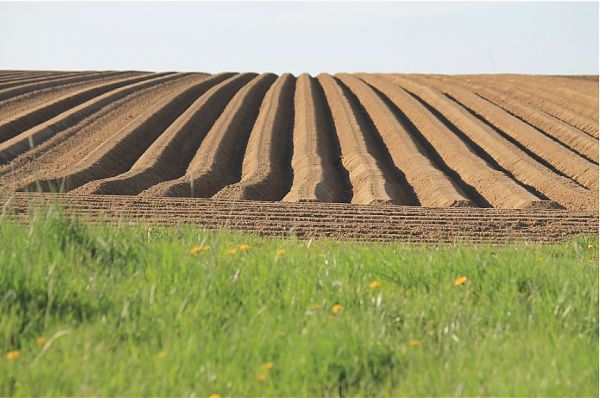 Per Nestlè obiettivo zero emissioni entro il 2050