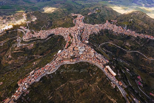 Centuripe: la foto della stella marina virale sui social di tutto il mondo