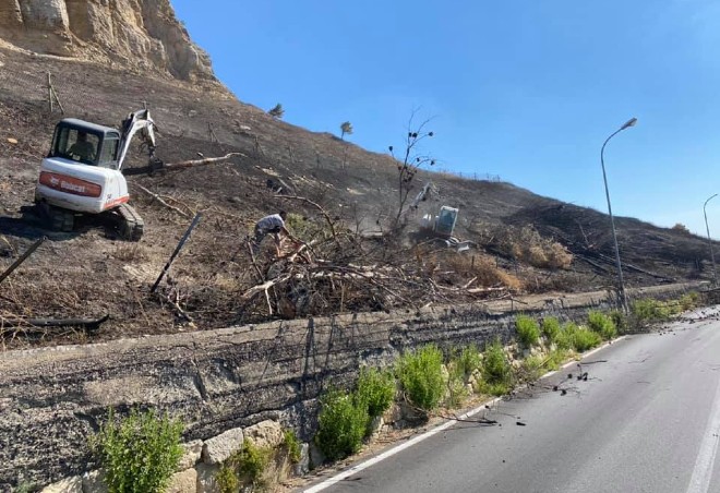 Enna. Gli incendi arriveranno ma i boschi non ci sono più