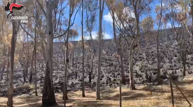 Arrestato 40enne pregiudicato di Valguarnera, accusato di aver appiccato incendio cha colpito le zone di Grottacalda e Floristella lo scorso 8 luglio