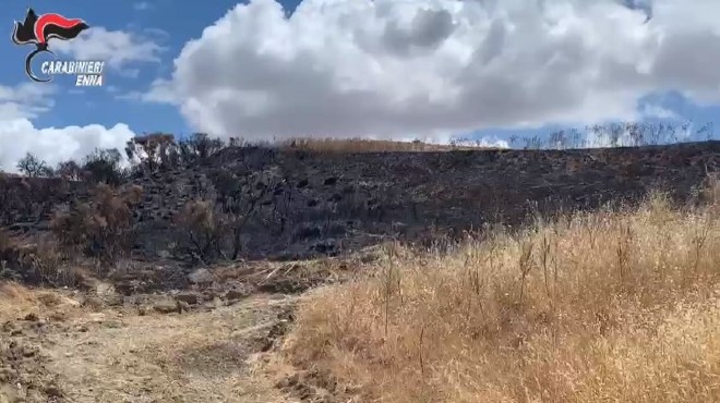 Condannato l’incendiario che diede fuoco a decine di ettari tra Floristella e la Riserva di Rossomanno